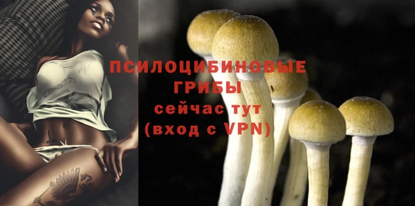 стаф Орехово-Зуево