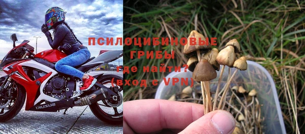 бутират Козловка