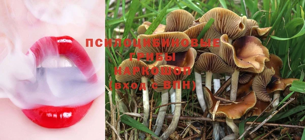 MESCALINE Козельск