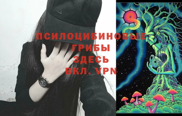 стаф Орехово-Зуево