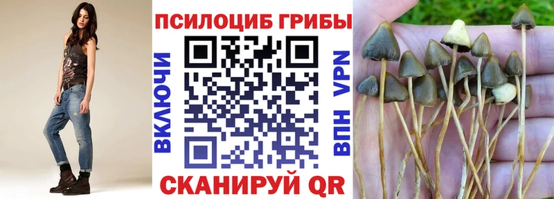 цена наркотик  Ковдор  Псилоцибиновые грибы Magic Shrooms 